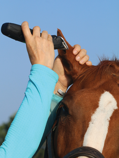Clipping ears