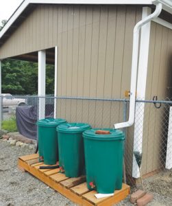 Rain Barrels - Farm Management