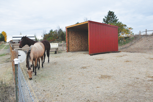 Sacrifice Area - Shed - Shelter, eco-freindly horsekeeping
