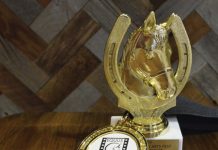 Equus Film and Arts Fest Winnie Award