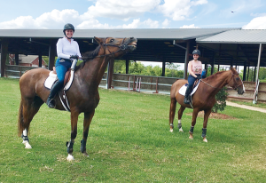 Your Horse Life: Introverted Equestrian Goes Rogue