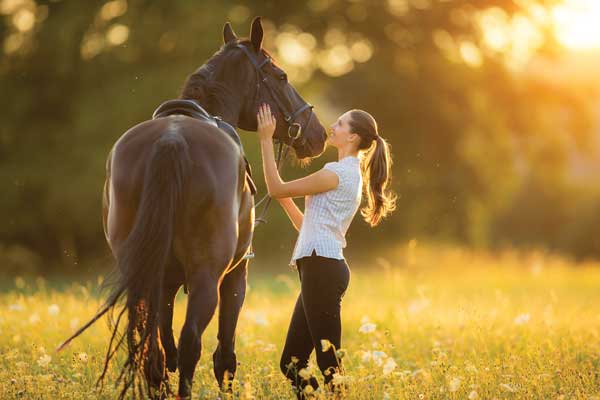 Horse and Woman - Equine Emotional Intelligence