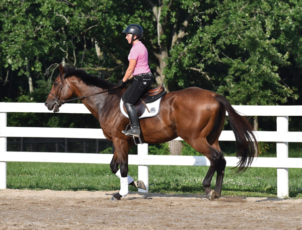 Retraining a Thoroughbred