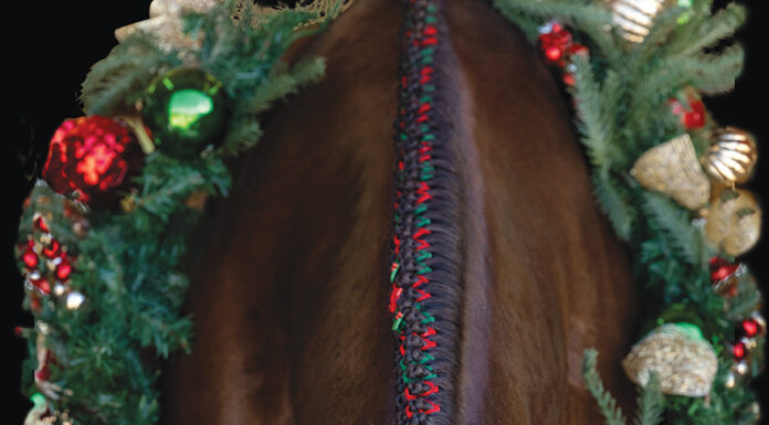 A holiday horsey photo shoot can be a great equestrian gift idea.