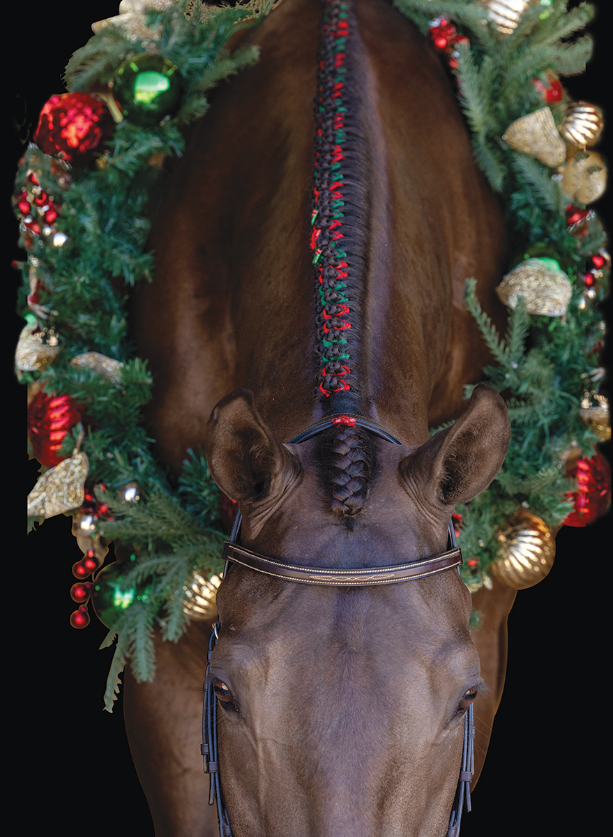 A holiday horsey photo shoot can be a great equestrian gift idea.