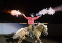 Fantasia at Equine Affaire Massachusetts