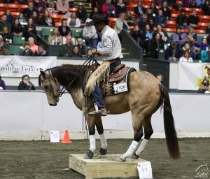 Versatile Horse and Rider Competition at Equine Affaire