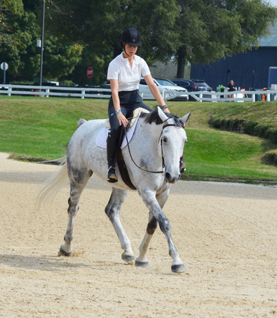 Wood's wife, Maredith, rode her Warmblood to demonstrate several of his techniques.