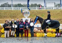 Erin Sylvester and Paddy the Caddy