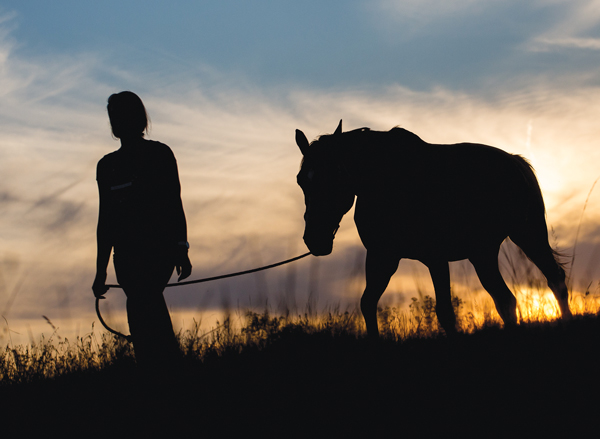 Leading a Horse Silhouette