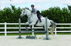 Horse Jumps – Ready for Better Takeoff!