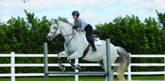 Rider exercises over poles or low jumps.