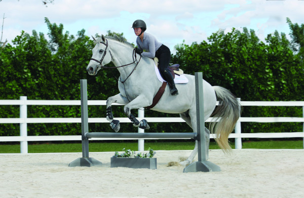 Rider exercises over poles or low jumps - Horse jump takeoff