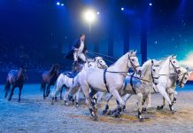 2021 EQUITANA USA Tickets Now Available exhibition courtesy equitana usa