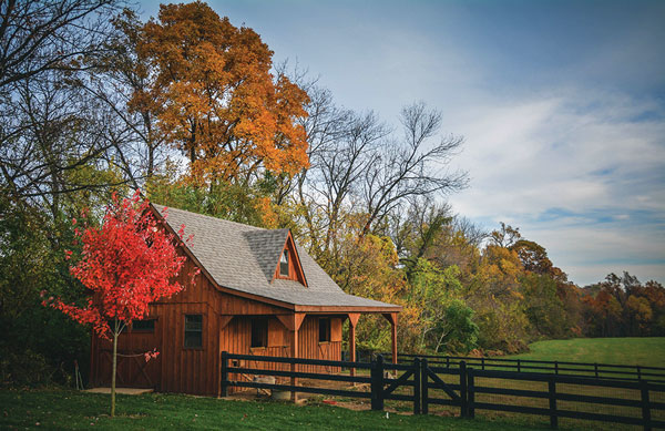 Fall Farm Cleanup