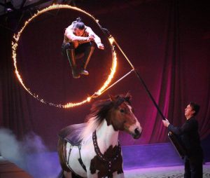 Equine Affaire Ohio - Caleb Carinchi Asche