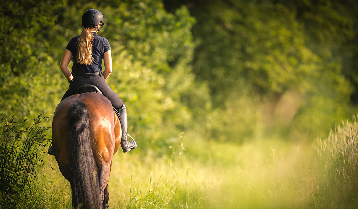 Improve Your Riding Through Your Everyday Life