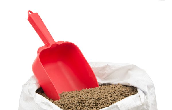Plan Ahead for Equine Feed