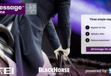 FEI eDressage Online Training Program