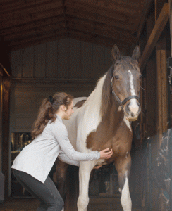 Working with Pain in Horses