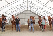 For Women Only: Serenity Ranch's Equine Therapy Program for Female Veterans