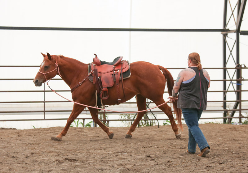 Serenity Ranch Equine Therapy