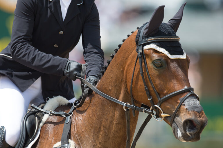 At Issue: Whisker Trimming and Flash Nosebands: