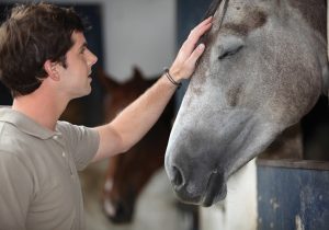 Man petting horse
