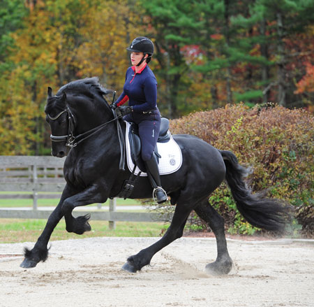 Friesian doing dressage