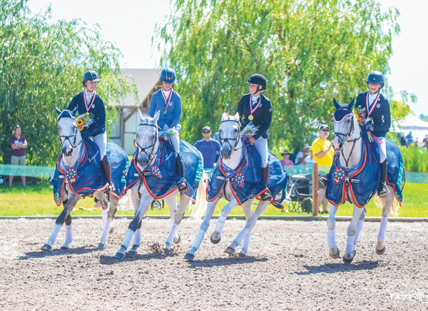 Area VIII NAYC Eventing