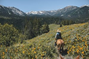 Go Horseback Riding in the U.S. National Parks