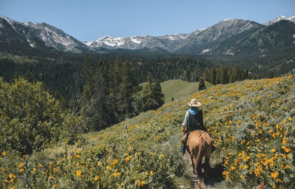 Grand Tetons - Horseback Riding National Parks