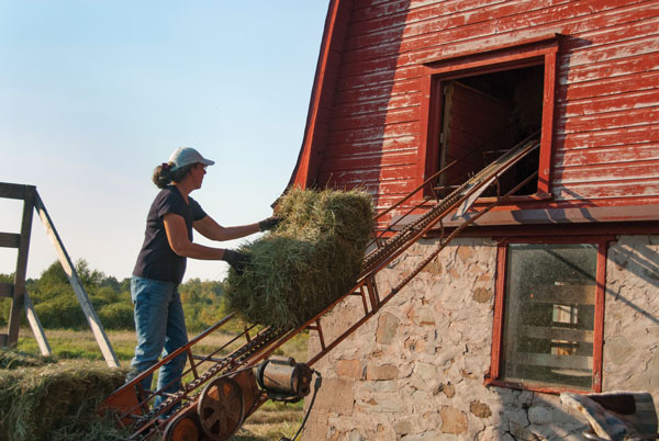 Using a Hay Elevator to Store Hay