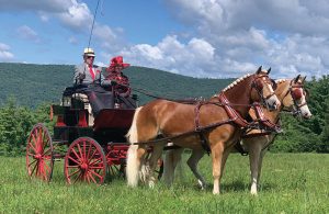 Bill Hendershot driving a pair of horses