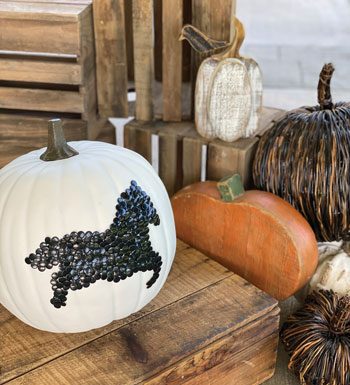Horse Halloween DIY Pumpkin
