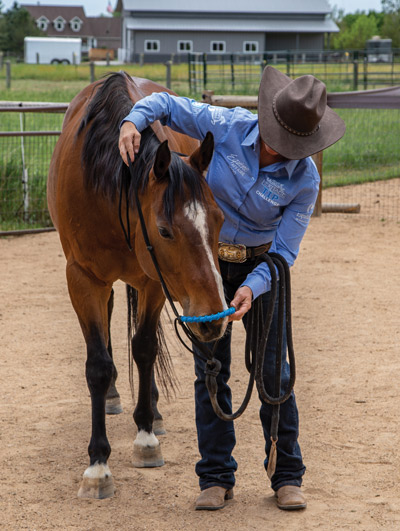 Hard-to-Catch Horse