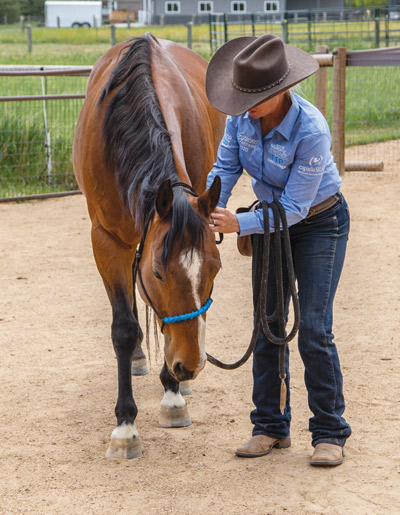 Putting a Halter On