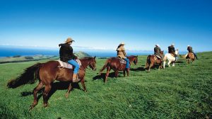 Riding Vacation Destination: Ranch Riding Hawaiian Style