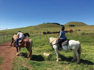 Riding Vacation Destination - Hawaii