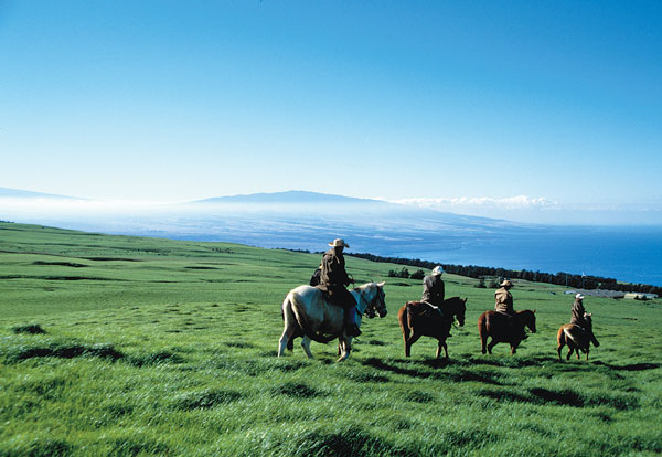 Riding Vacation Destination - Hawaii