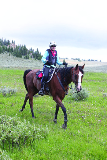 Suzanne Hayes riding Sanstormm.