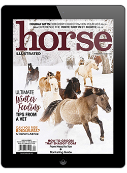 November/December 2020 Horse Illustrated Digital Issue