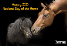 2020 National Day of the Horse