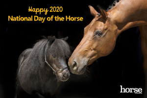 9 Ways to Celebrate the 2020 National Day of the Horse