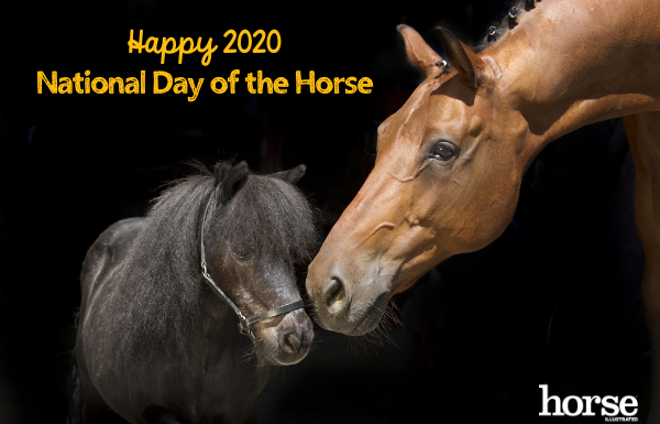 2020 National Day of the Horse