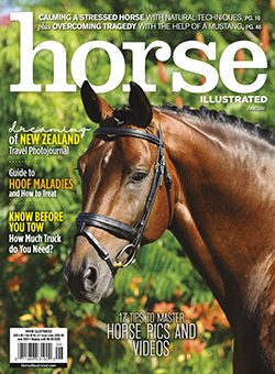 Horse Illustrated June 2020 Print Issue