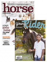horse illustrated + young rider