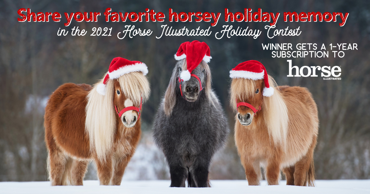 2021 Horse Illustrated Holiday Contest