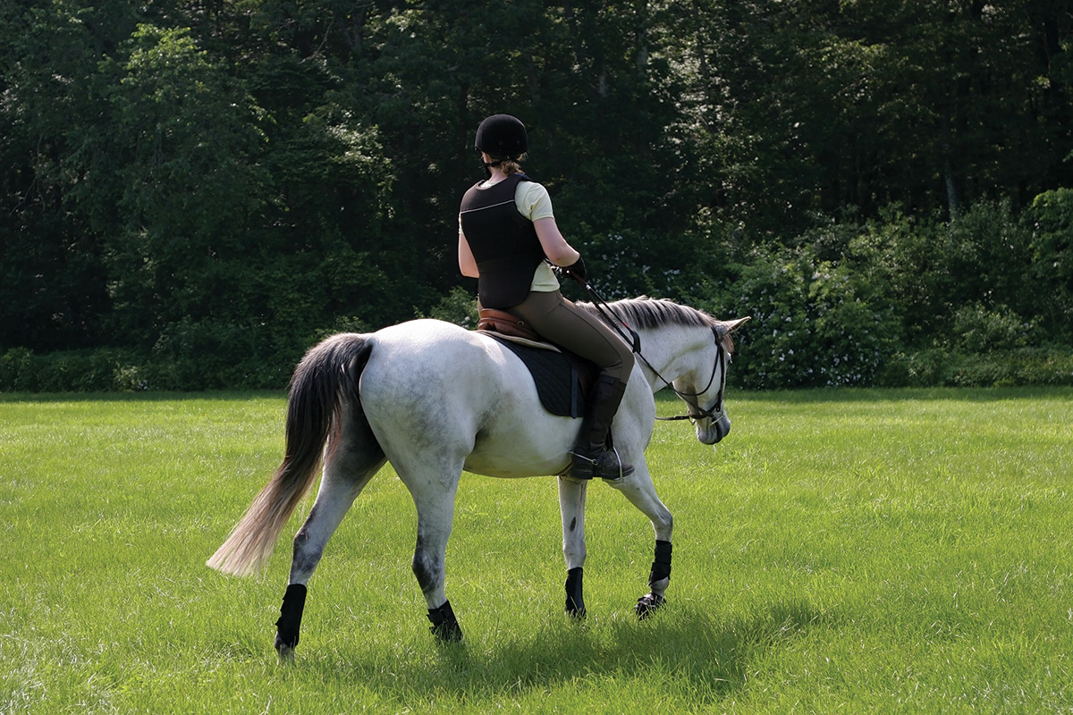 A horse being ridden