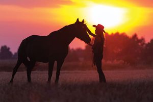 Horse and rider in sunset.